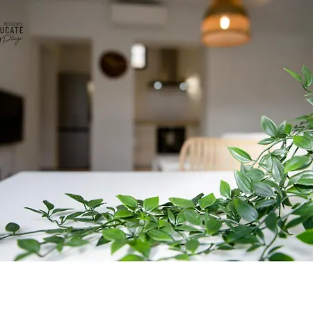 Apartament « Le Patio » *